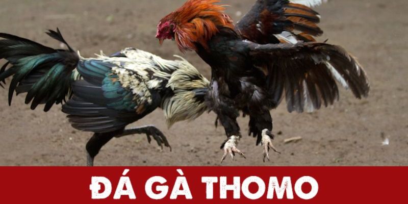 da ga thomo dai dien