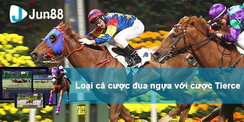 Lọa hình các cược đua ngựa Tierce